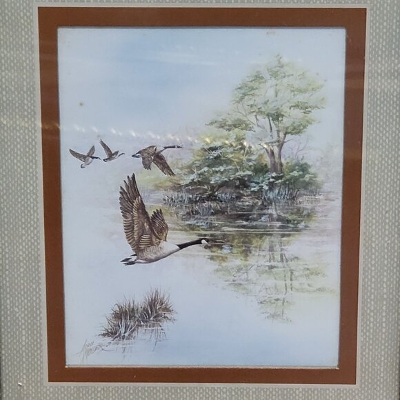 Framed Wildlife Print Duck Geese Water Artist Signed Anni Moller 1968 Wall Art - Picture 11 of 12